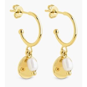 Morgan Faux Pearl Hoop Earrings 14k Gold Plated